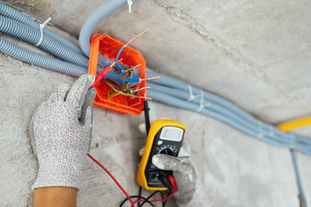 Best Licensed Electrician  in Edgemont Park, MI